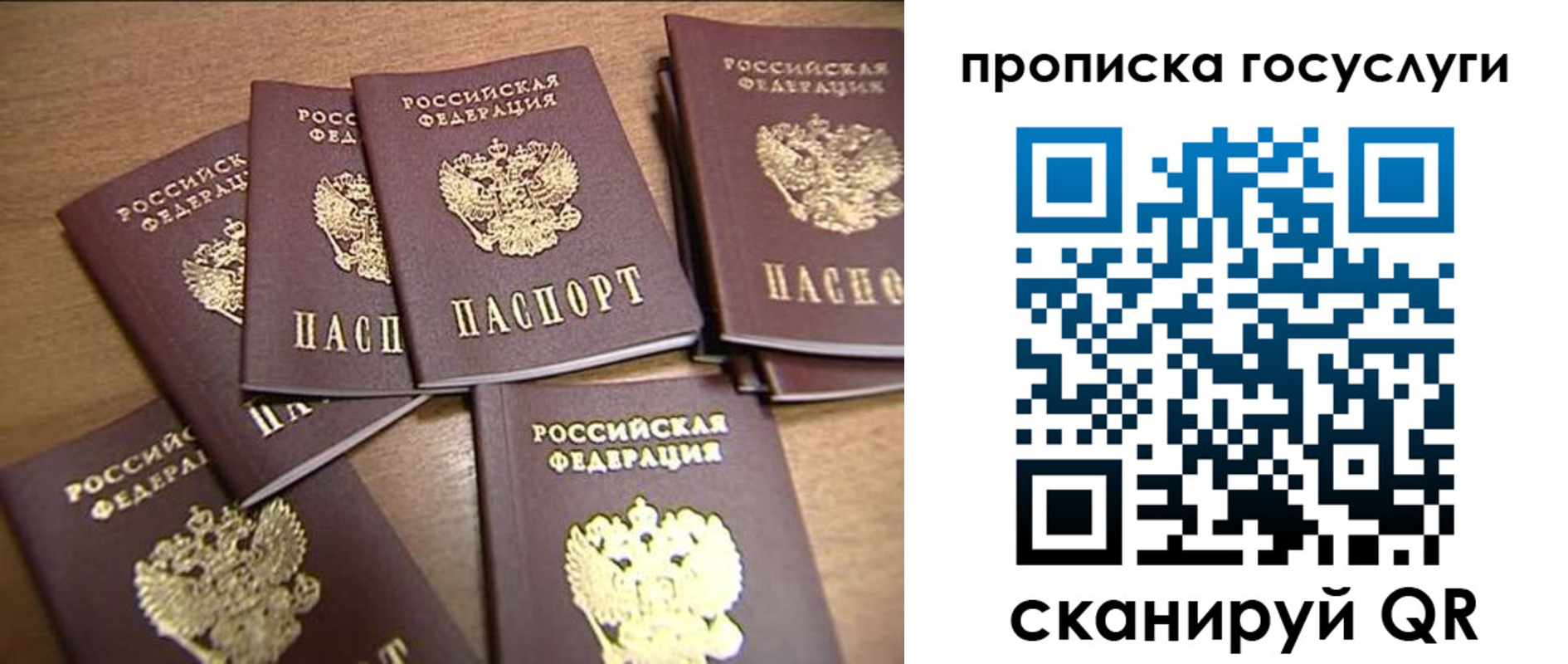 прописка для работы в Краснодарском крае